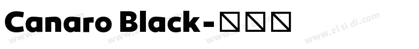 Canaro Black字体转换